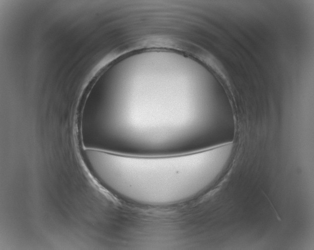 X0000080741133200612150925