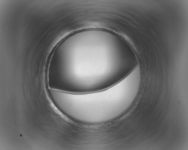 X0000080741134200612150925