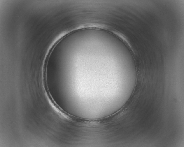 X0000080741135200612150925