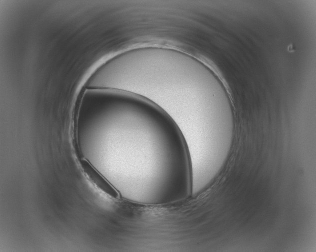 X0000080741136200612150925