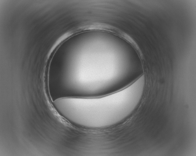 X0000080741138200612150925