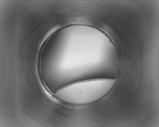 X0000080741139200612150925