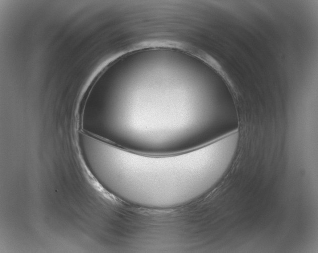 X0000080741140200612150925