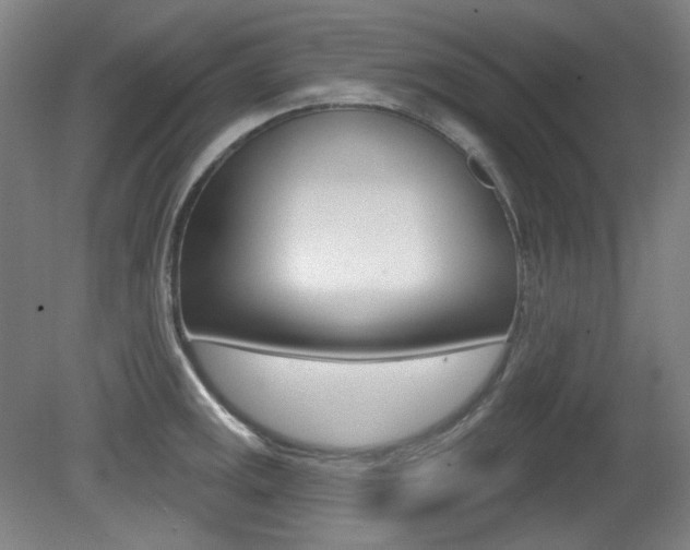 X0000080741141200612150925