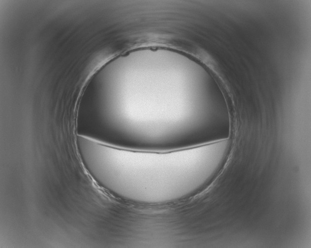 X0000080741145200612150925