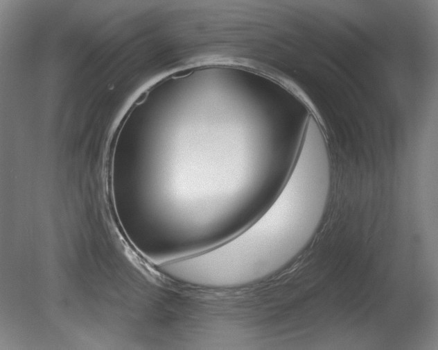 X0000080741148200612150925