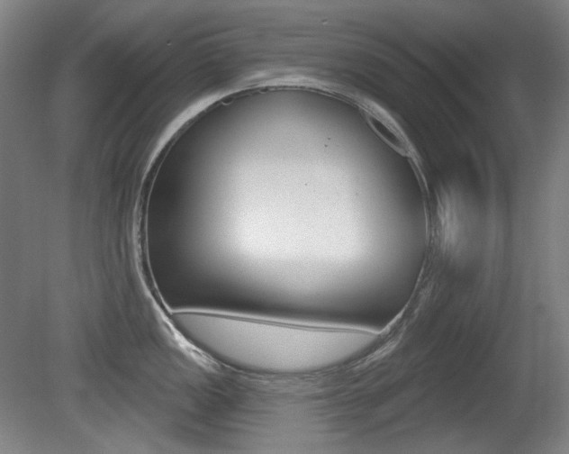 X0000080741149200612150925