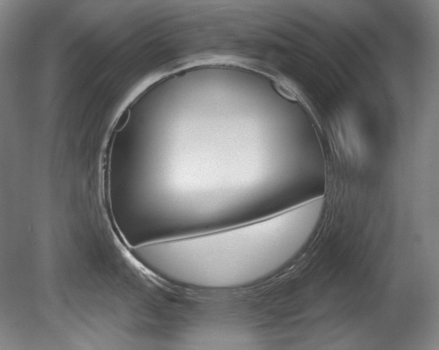 X0000080741151200612150925