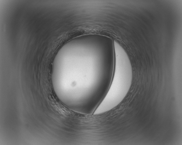 X0000080741153200612150925