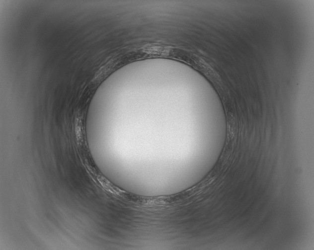 X0000080741154200612150925