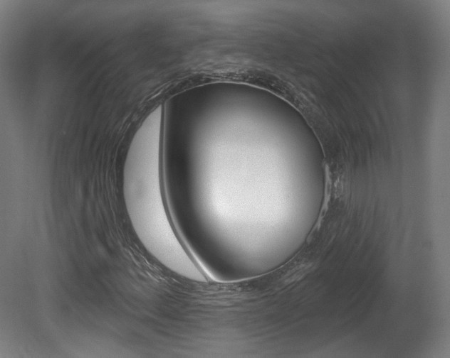X0000080741156200612150925