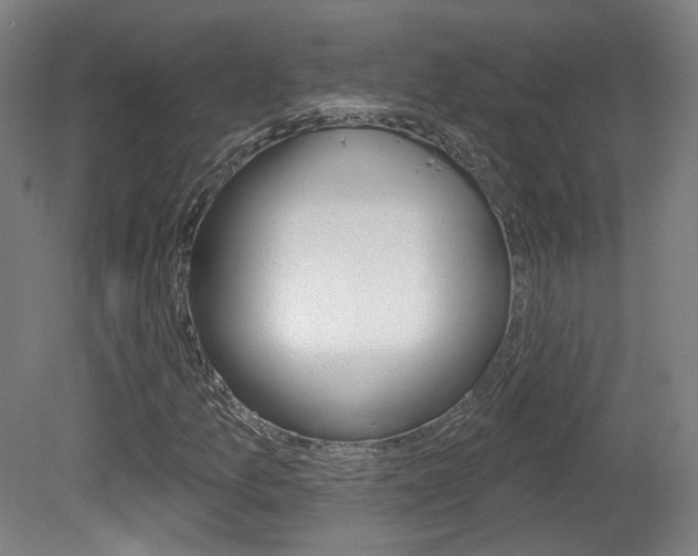 X0000080741157200612150925