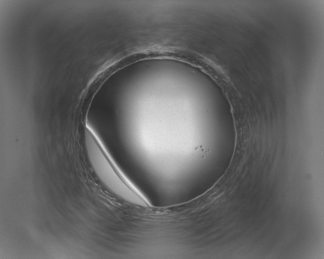 X0000080741160200612150924