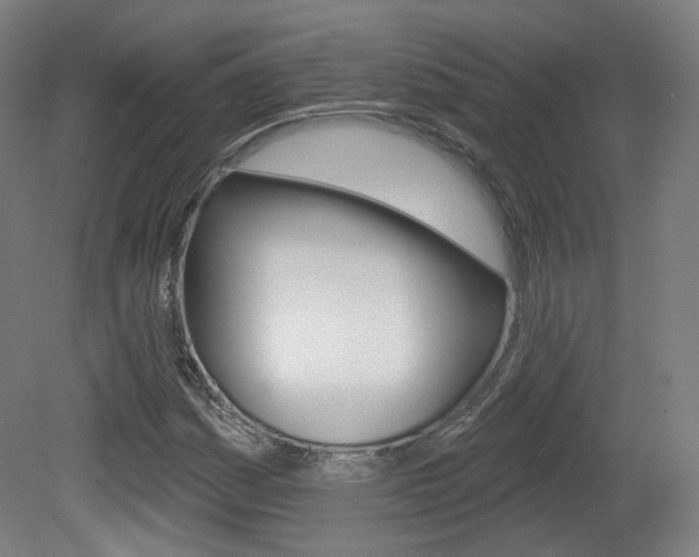 X0000080741161200612150924