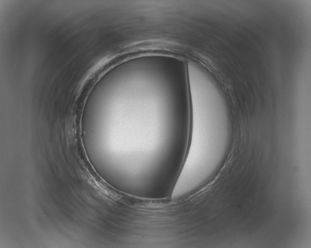 X0000080741164200612150924