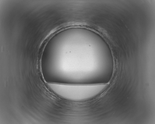 X0000080741165200612150924