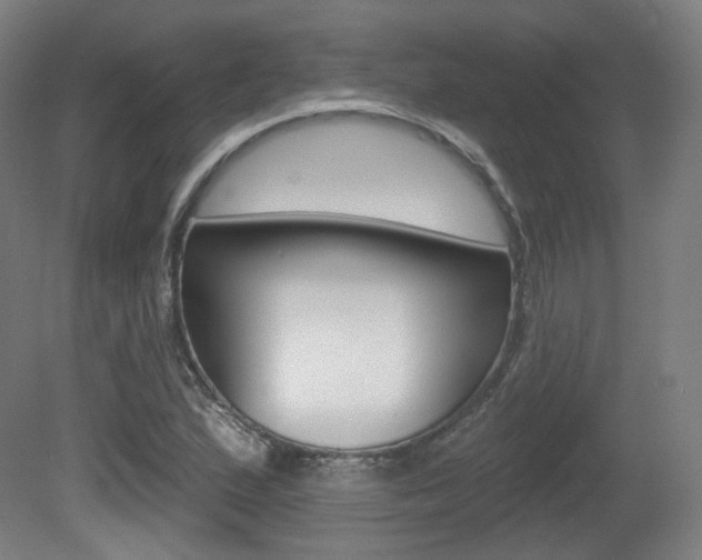 X0000080741167200612150924