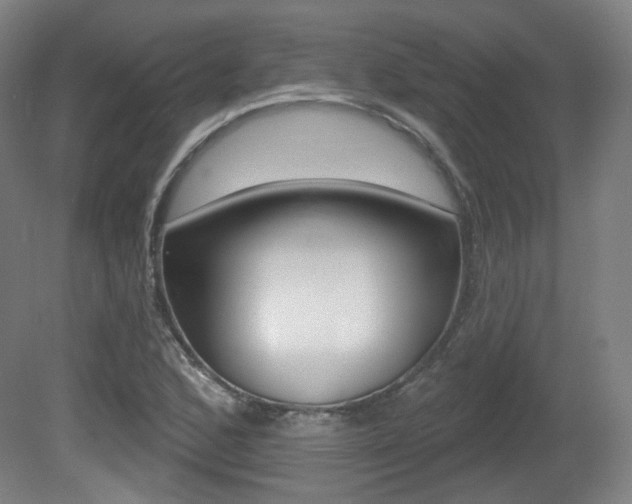X0000080741168200612150924