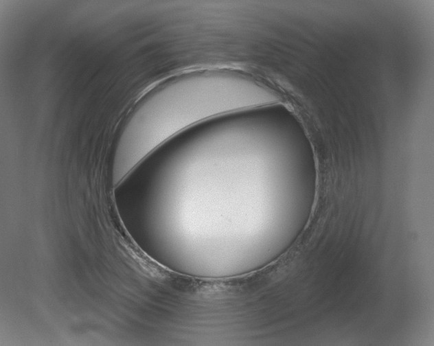 X0000080741169200612150924