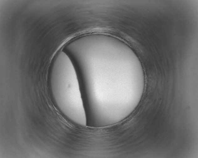 X0000080741170200612150924