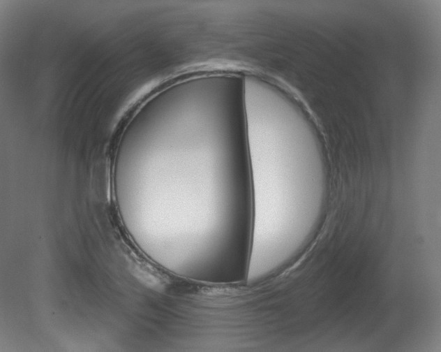X0000080741171200612150924