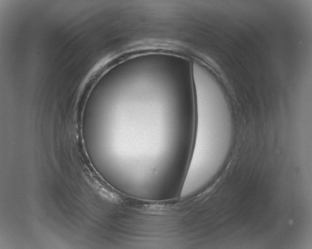 X0000080741172200612150924