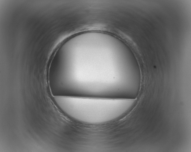 X0000080741174200612150924