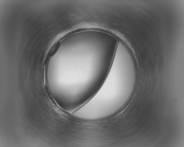 X0000080741175200612150924