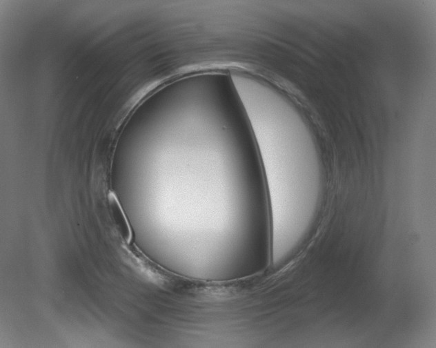 X0000080741177200612150924