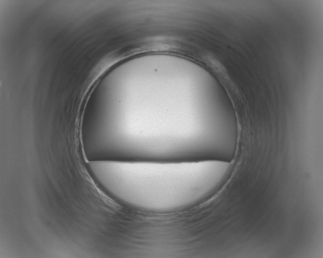 X0000080741178200612150924