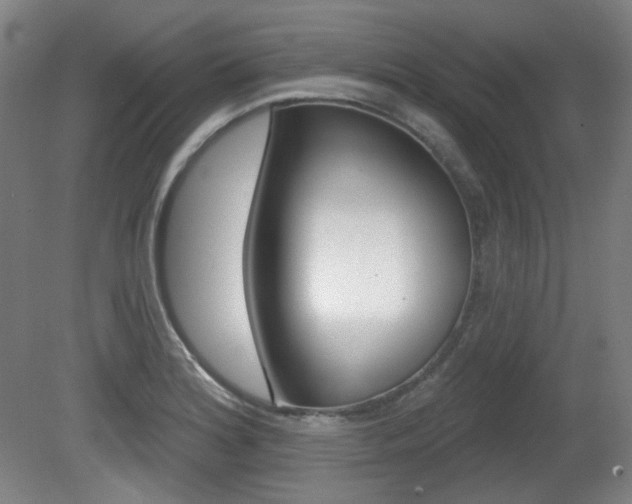 X0000080741180200612150924