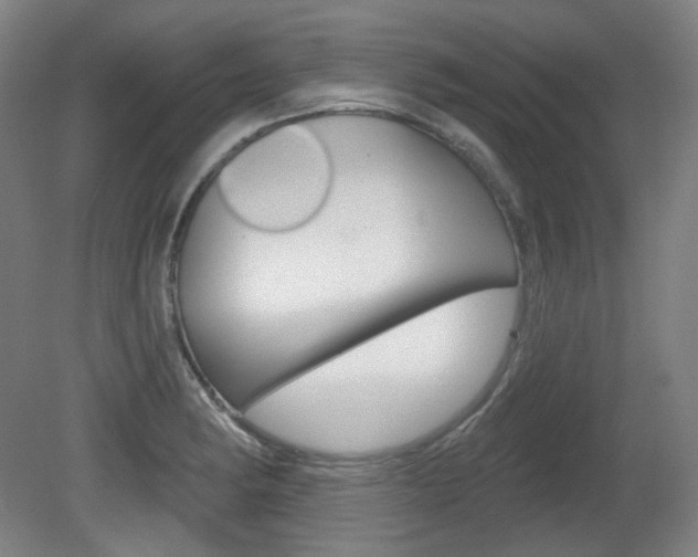 X0000080741182200612150924