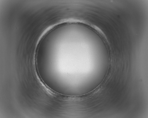 X0000080741183200612150924