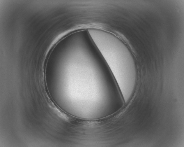 X0000080741184200612150924