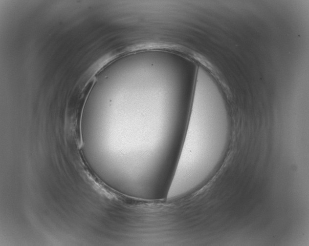X0000080741185200612150924