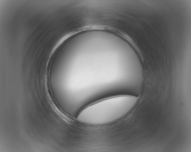 X0000080741187200612150924