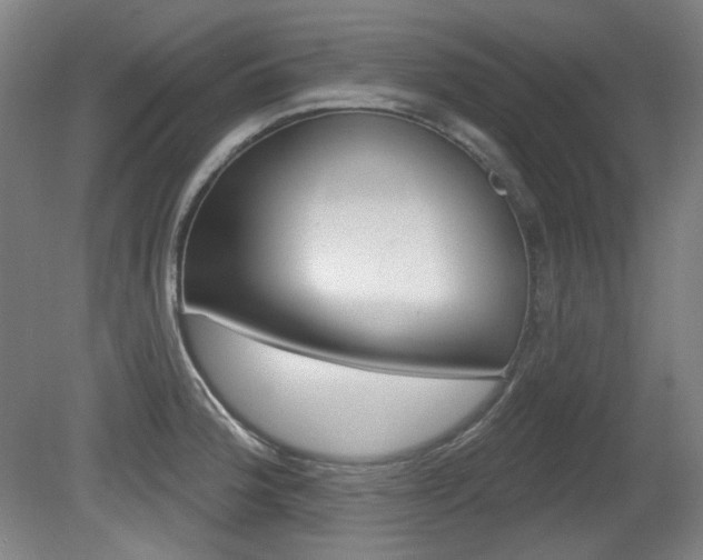 X0000080741188200612150924