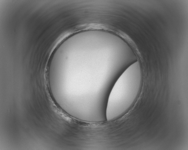 X0000080741190200612150924