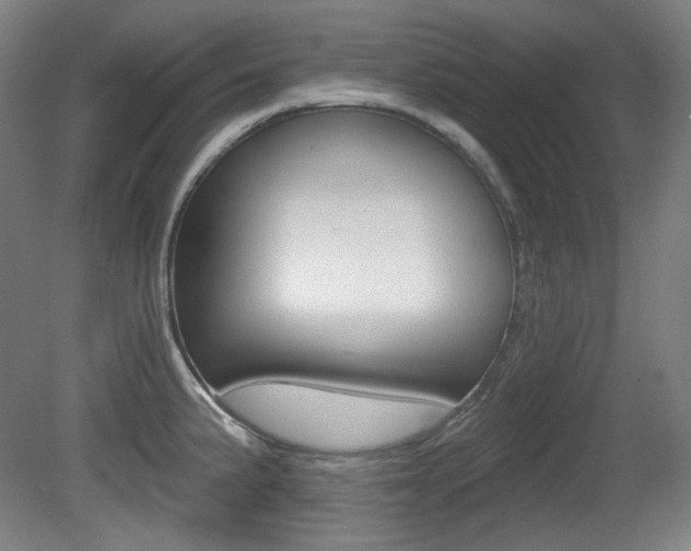 X0000080741191200612150924