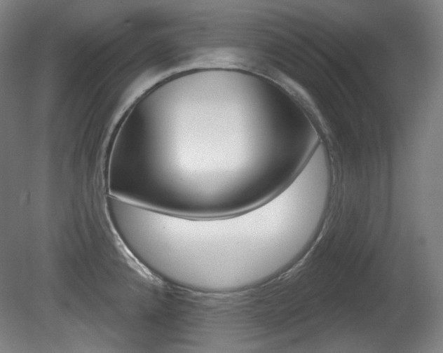 X0000080741192200612150924