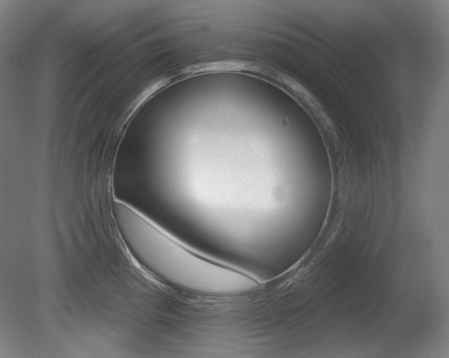 X0000080741193200612150924