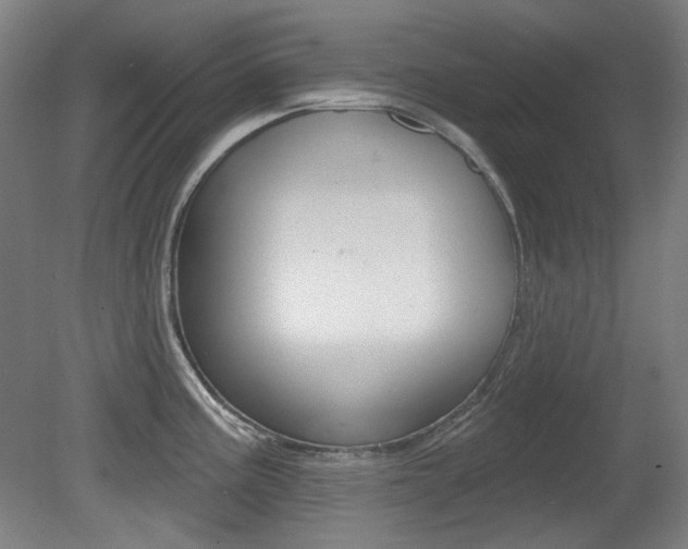 X0000080741195200612150924