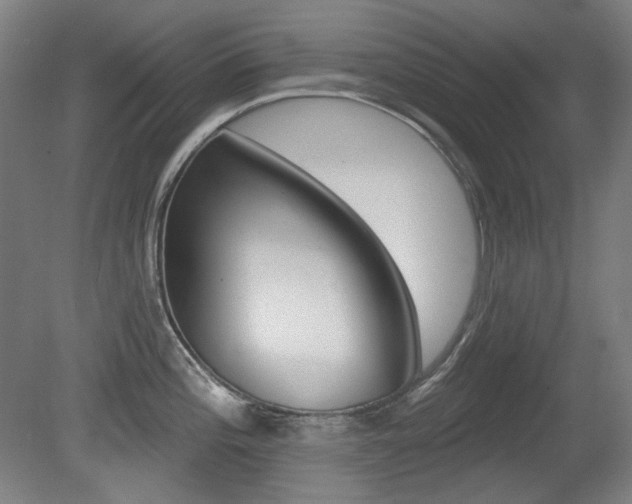 X0000080741196200612150924
