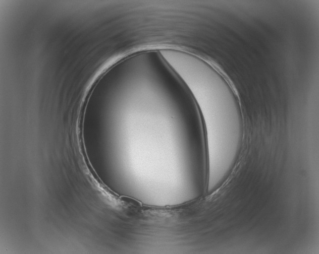X0000080741197200612150924