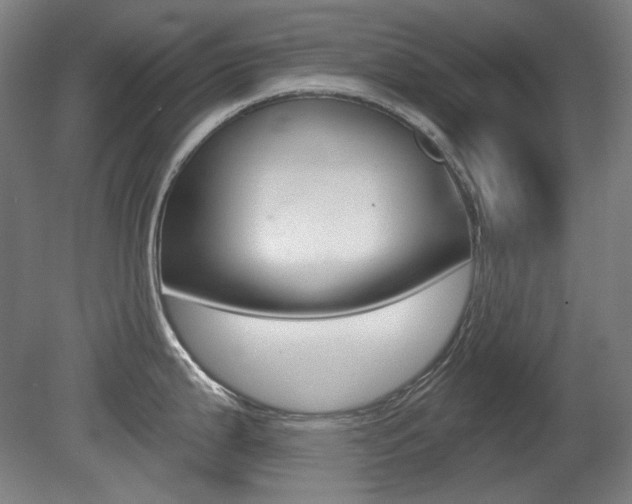 X0000080741199200612150924