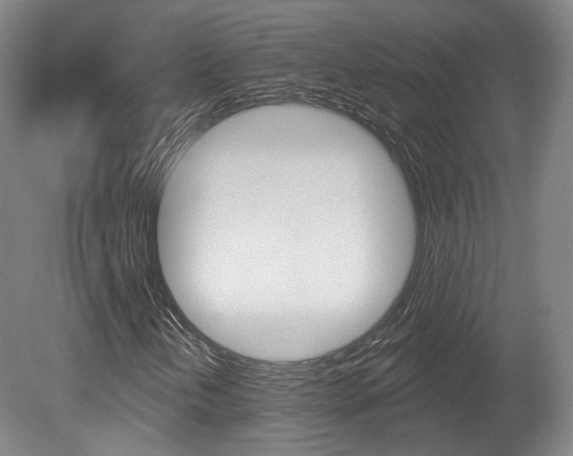 X0000080741202200612150923