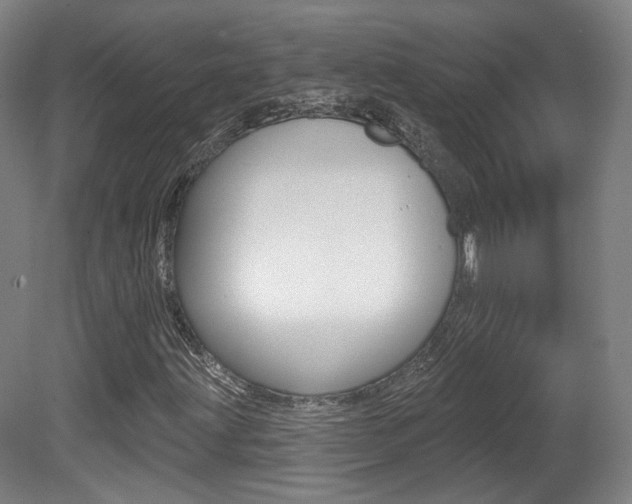 X0000080741203200612150923