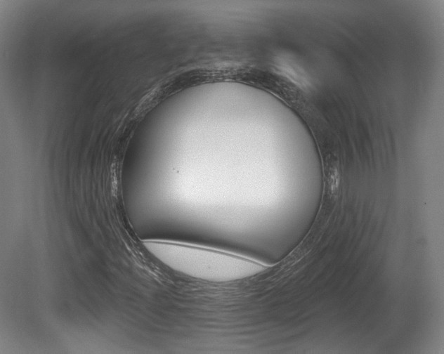 X0000080741204200612150923