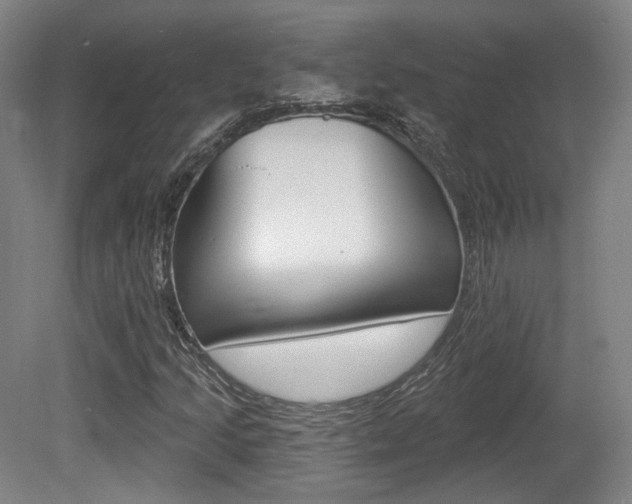 X0000080741205200612150923