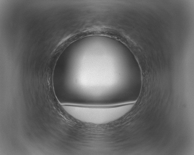 X0000080741206200612150923